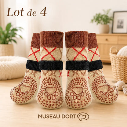 Lot de 4 chaussettes antidérapantes beiges pour chien avec bandes réglables, dans un salon moderne.