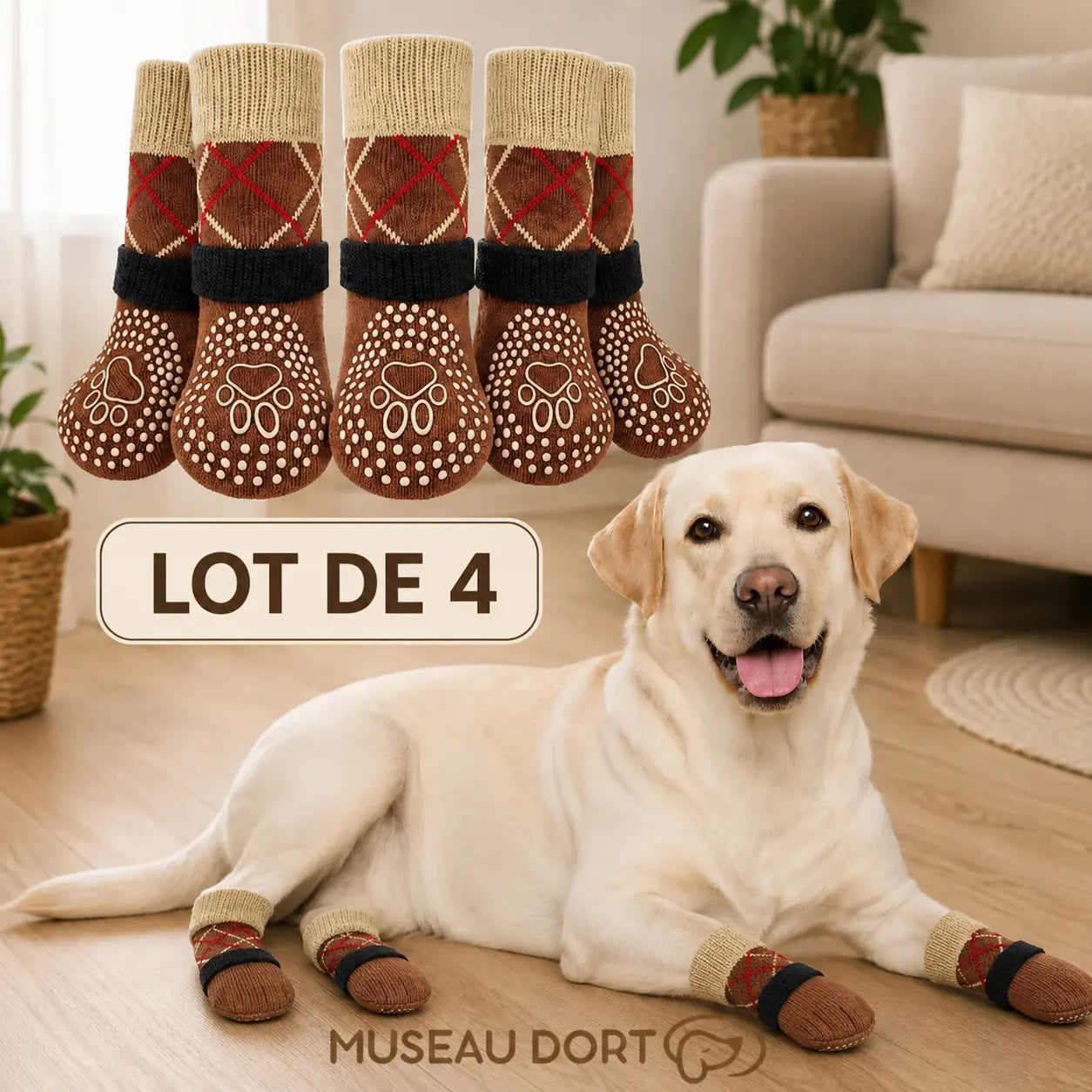 Labrador portant des chaussettes antidérapantes marron Museau Dort, lot de 4 sur sol intérieur.