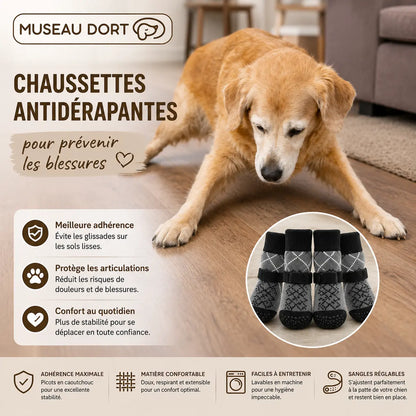 Chien senior glissant sur parquet sans chaussettes antidérapantes grises Museau Dort présentées à côté.