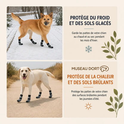 Chaussettes de protection pour chien contre le froid, la neige, la chaleur et les sols brûlants.