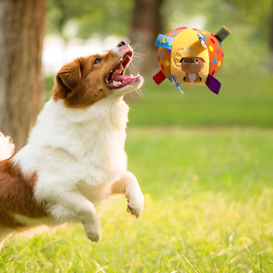 Chien sautant pour attraper une balle en peluche colorée dans un parc, jouet interactif idéal pour stimuler le jeu.