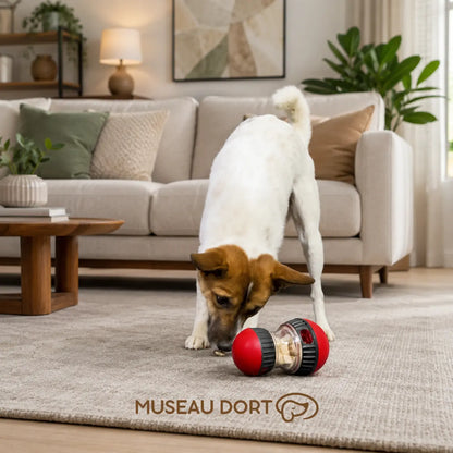 Chien utilisant un jouet distributeur de croquettes rouge dans un salon moderne