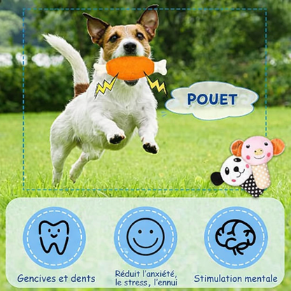 Chien jouant avec un jouet orange en forme d'os, qui émet un "pouet". Stimule les gencives et réduit l'anxiété, le stress et l'ennui. Disponible chez Museau Dort.