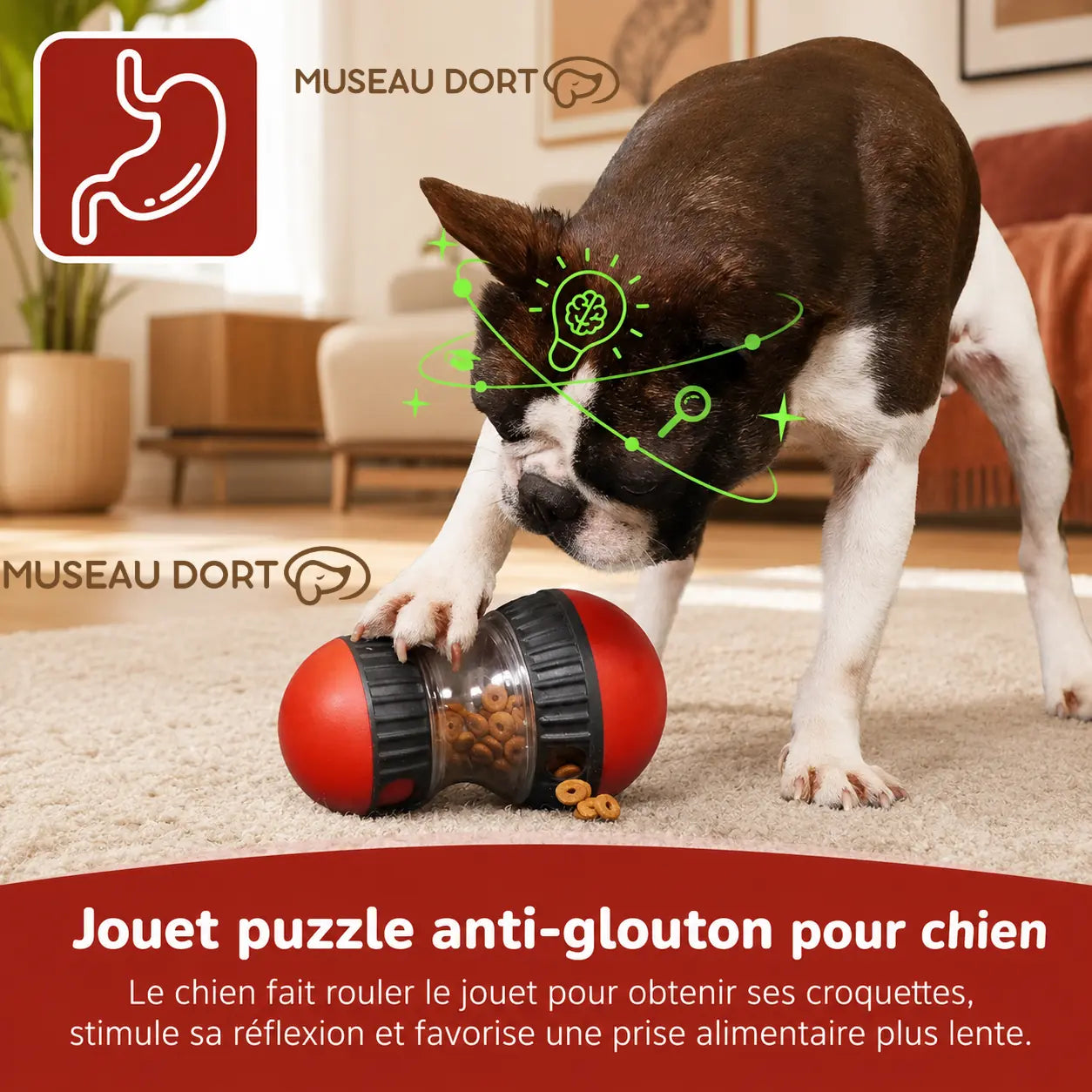 Chien utilisant un jouet puzzle anti-glouton avec croquettes pour ralentir son repas en intérieur