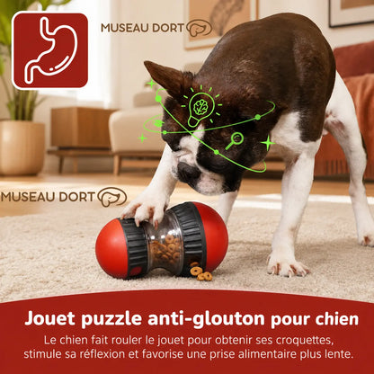 Chien utilisant un jouet puzzle anti-glouton avec croquettes pour ralentir son repas en intérieur