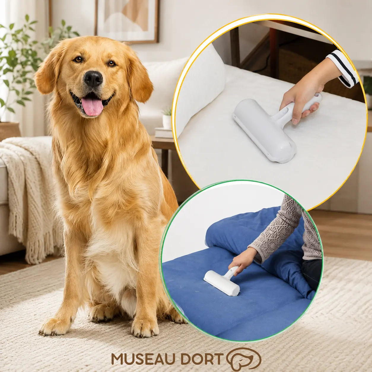 Chien assis avec rouleau anti-poils réutilisable en action sur lit et coussin