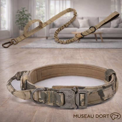Collier chien anti-traction camo avec laisse amortissante et boucle renforcée, ensemble présenté en intérieur moderne.