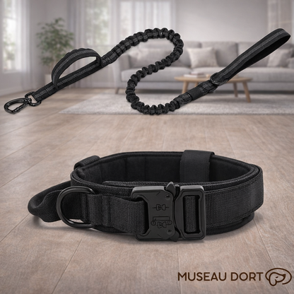 Collier chien anti-traction noir avec laisse amortissante et boucle renforcée, ensemble présenté en intérieur moderne.
