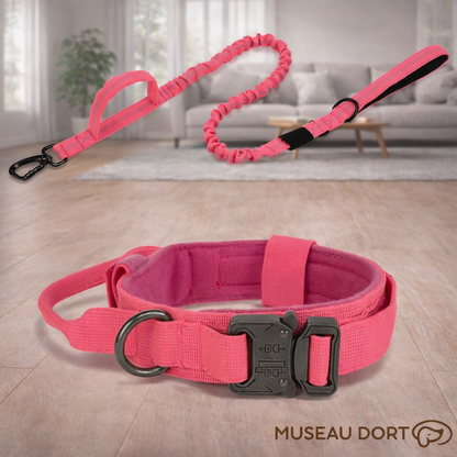 Collier chien anti-traction rose avec laisse amortissante et boucle renforcée, ensemble présenté en intérieur moderne.