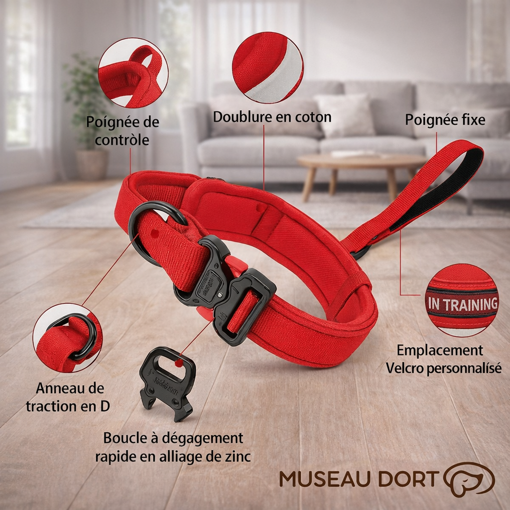 Collier chien anti-traction rouge avec poignée de contrôle, doublure coton et boucle renforcée, présenté en intérieur moderne