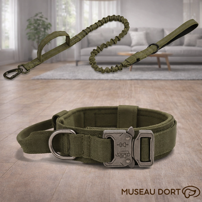 Collier chien anti-traction vert avec laisse amortissante et boucle renforcée, ensemble présenté en intérieur moderne.