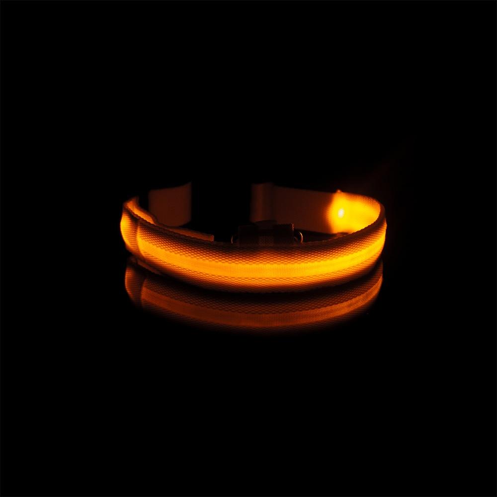 Collier lumineux orange rechargeable pour chien visible la nuit pendant les promenades nocturnes