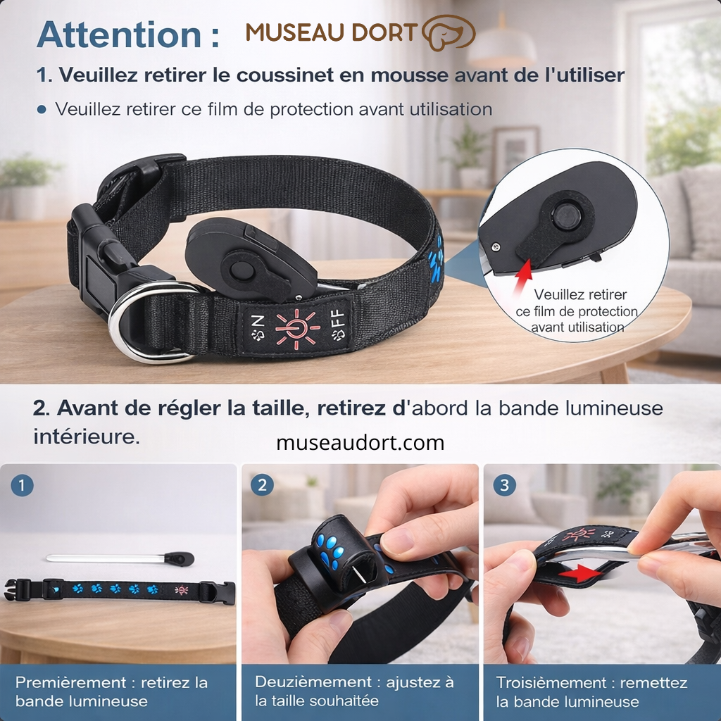Collier lumineux pour chien rechargeable montrant les étapes d’ajustement et d’utilisation en salon moderne – Museau Dort