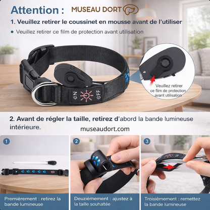 Collier lumineux pour chien rechargeable montrant les étapes d’ajustement et d’utilisation en salon moderne – Museau Dort