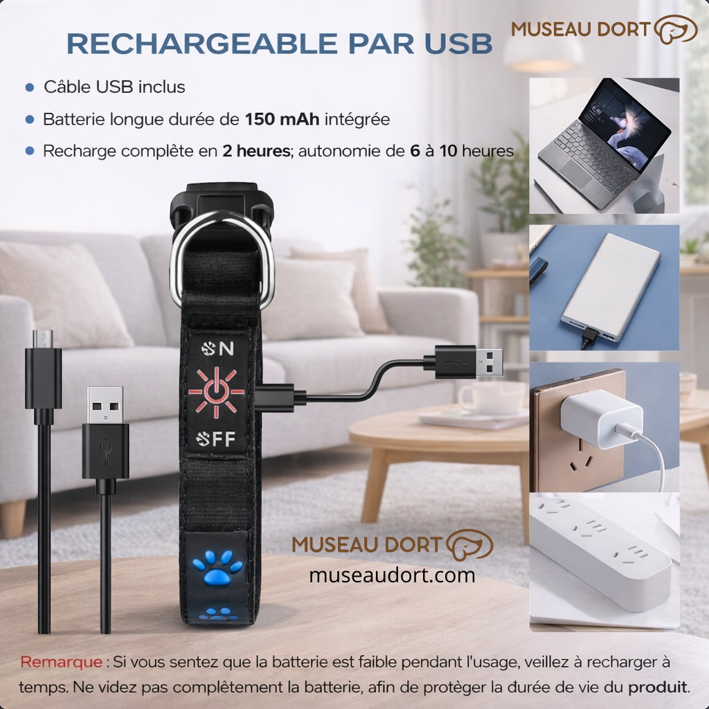 Collier lumineux pour chien rechargeable par USB avec autonomie longue durée, présenté en salon moderne – Museau Dort