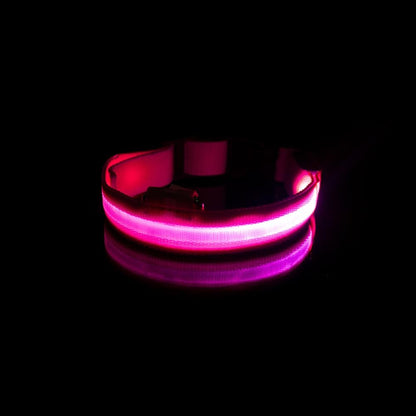 Collier lumineux rose rechargeable pour chien visible la nuit pendant les balades nocturnes
