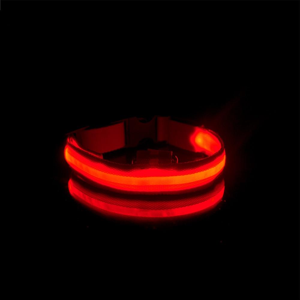 Collier lumineux rouge rechargeable pour chien visible la nuit pendant les promenades nocturnes