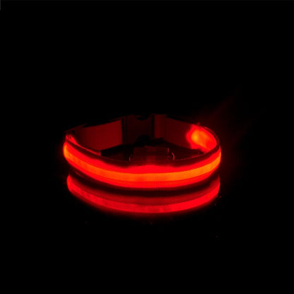 Collier lumineux rouge rechargeable pour chien visible la nuit pendant les promenades nocturnes