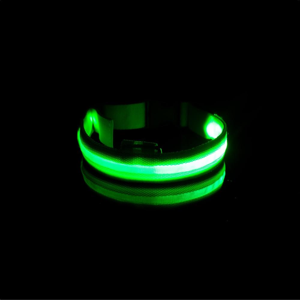 Collier lumineux vert rechargeable pour chien visible dans l’obscurité pendant les balades nocturnes