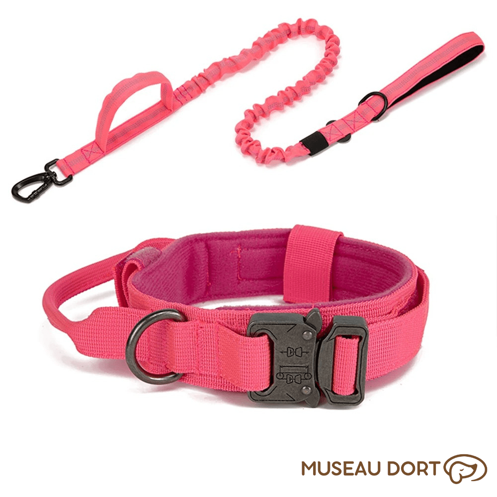 Collier Tactique Chien | Contrôle Total pour Chiens Puissants - Museau dort