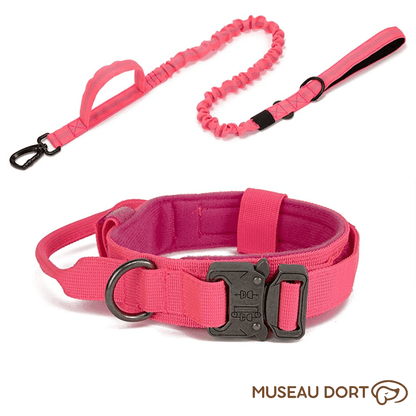 Collier Tactique Chien | Contrôle Total pour Chiens Puissants - Museau dort