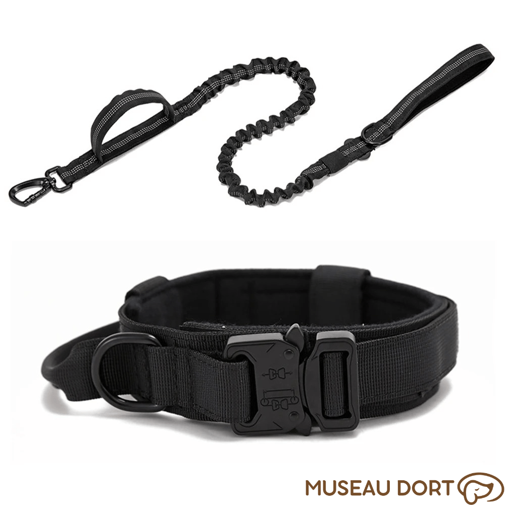 Collier Tactique Chien | Contrôle Total pour Chiens Puissants - Museau dort