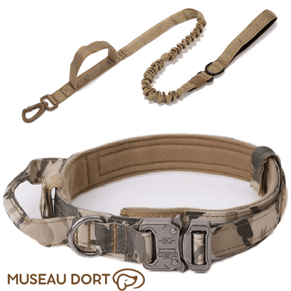 Collier Tactique Chien | Contrôle Total pour Chiens Puissants - Museau dort