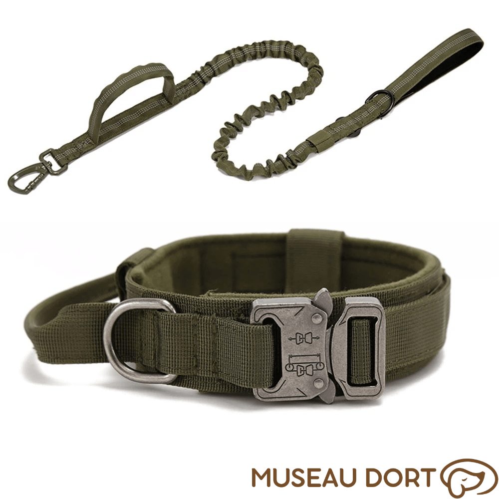 Collier Tactique Chien | Contrôle Total pour Chiens Puissants - Museau dort