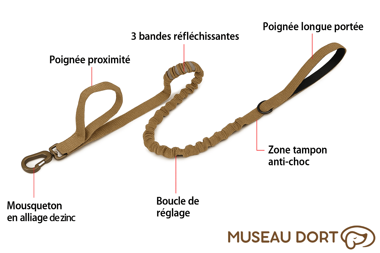Collier Tactique Chien | Contrôle Total pour Chiens Puissants - Museau dort
