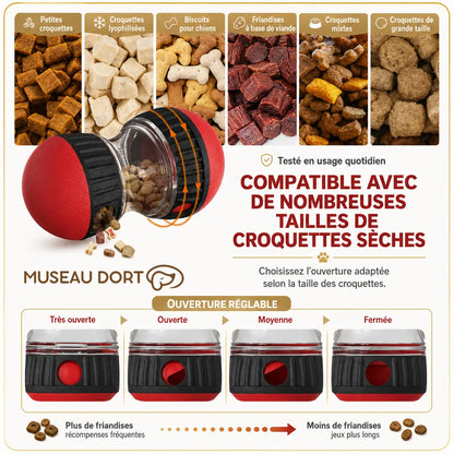 Jouet distributeur de croquettes pour chien compatible avec plusieurs tailles de croquettes sèches