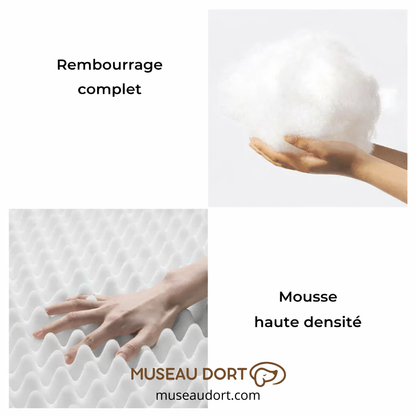 Composition du lit pour chien orthopédique avec rembourrage complet et mousse haute densité assurant un soutien durable Museau Dort