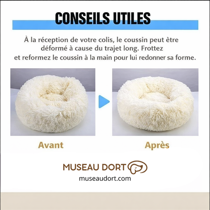 Conseils utiles pour coussin pour chien : remise en forme après livraison, avant et après utilisation – Museau Dort