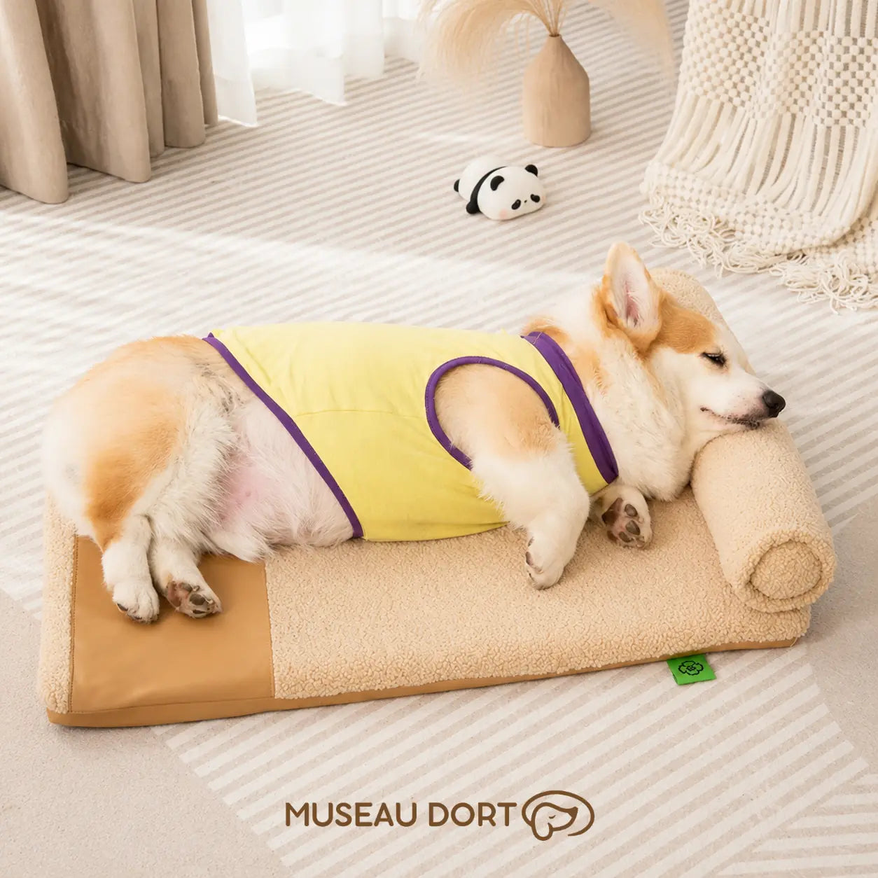 Corgi endormi sur un coussin jaune avec traversin, dans un salon lumineux, pour un repos confortable.