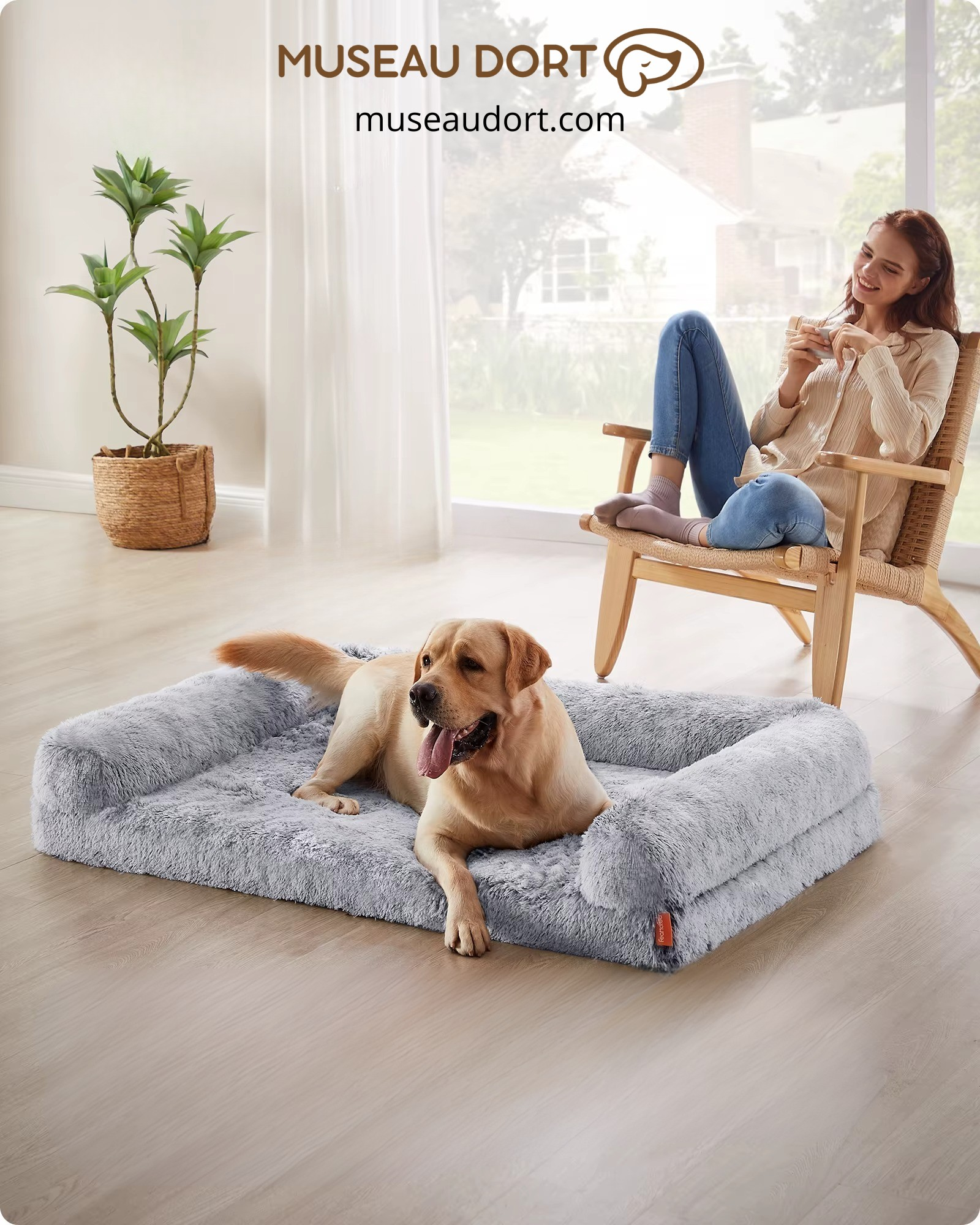 Couchage chien senior en mousse 26D avec bords surélevés salon moderne Museau Dort