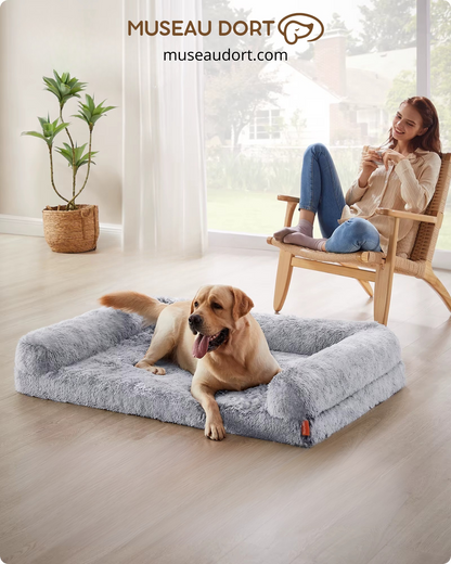 Couchage chien senior en mousse 26D avec bords surélevés salon moderne Museau Dort