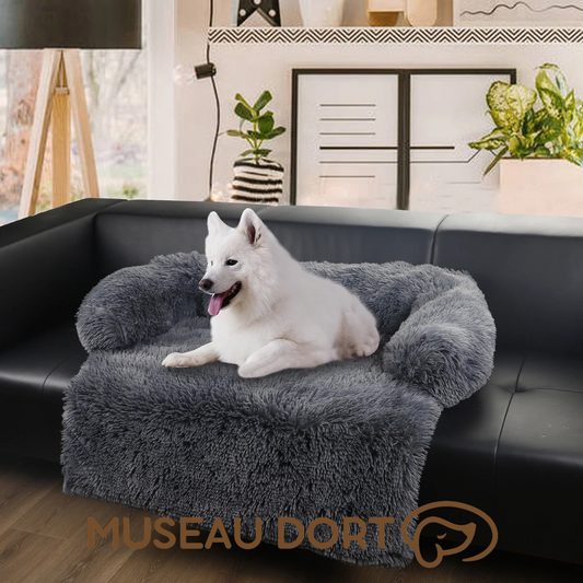 Coussin chien 2 en 1 gris avec traversin sur canapé, modèle Museau Dort. Idéal pour protéger le canapé. Disponible chez Museau Dort.