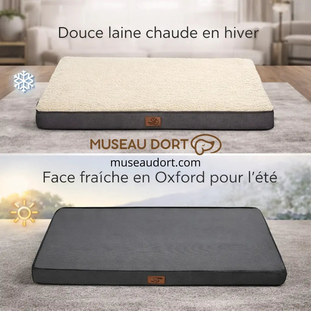 Coussin pour chien âgé double face, chaud en hiver et frais en été – Museau Dort