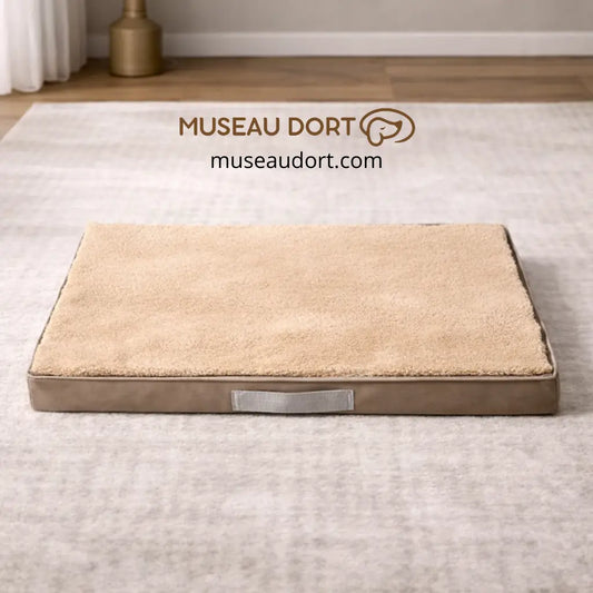 Coussin orthopédique beige pour chien âgé avec poignée, présenté en intérieur – Museau Dort