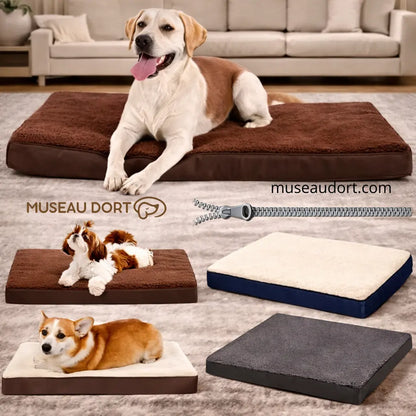 Coussin orthopédique pour chien âgé, plusieurs coloris et tailles, présenté avec chiens – Museau Dort