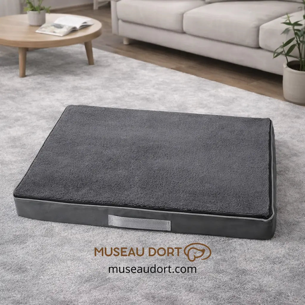 Coussin orthopédique gris pour chien âgé avec poignée, dans un salon moderne – Museau Dort