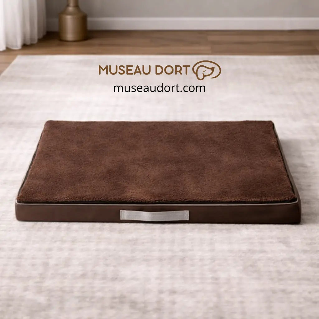 Coussin orthopédique marron pour chien âgé avec poignée, présenté en intérieur – Museau Dort
