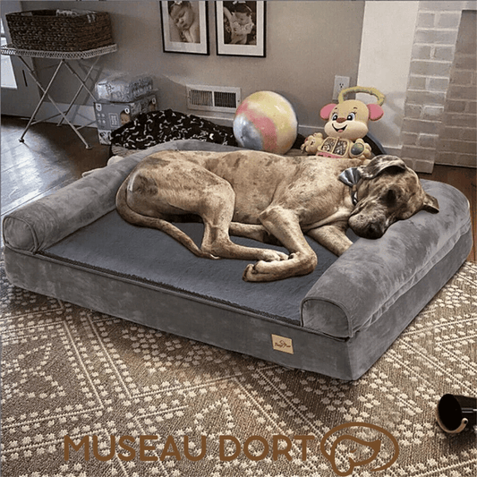 Coussin Chien | BORWART™ - Museau dort