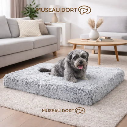 Petit chien couché sur coussin gris clair dans un salon moderne, disponible chez Museau Dort