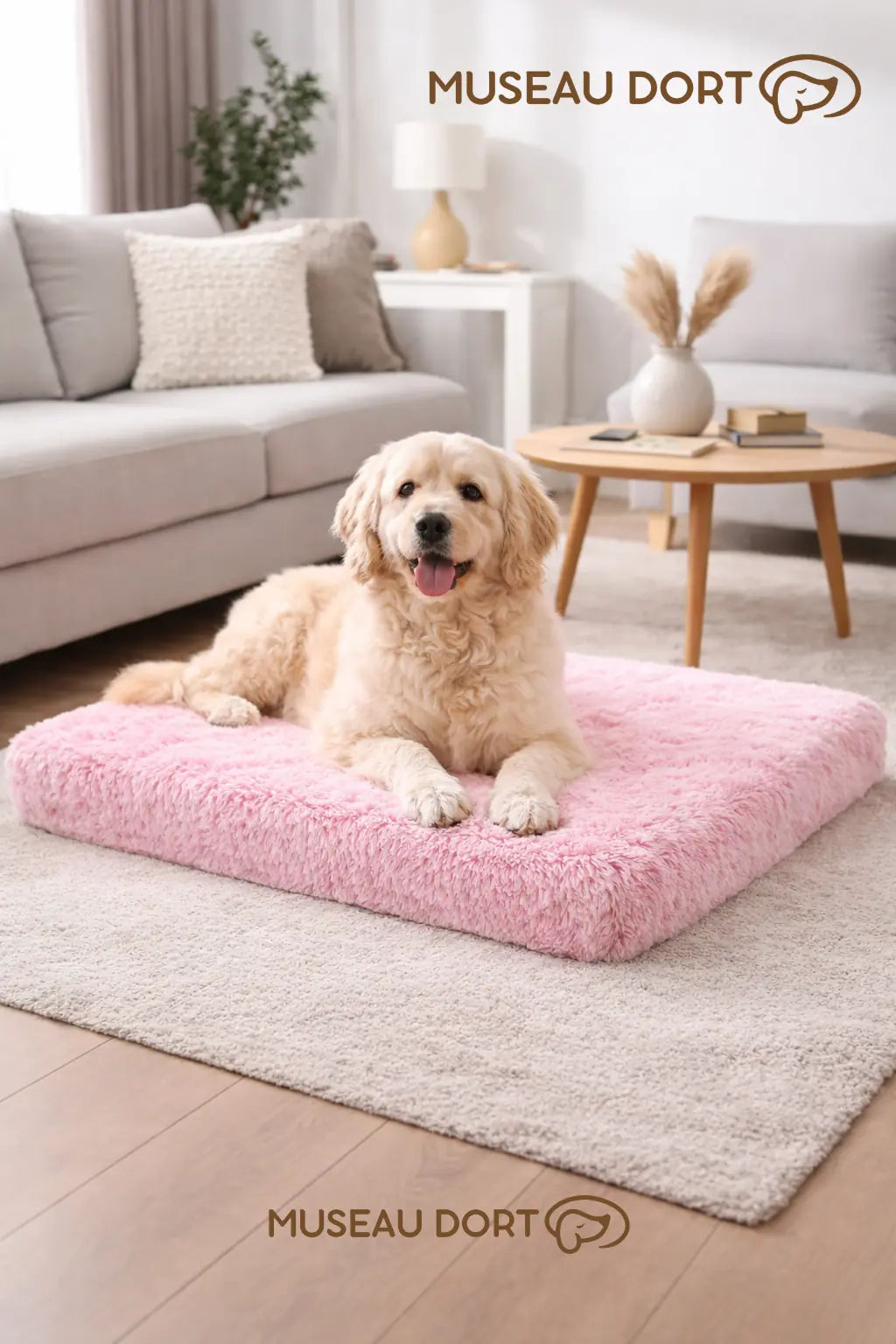 Chien couché sur coussin rose dans un salon moderne, disponible chez Museau Dort