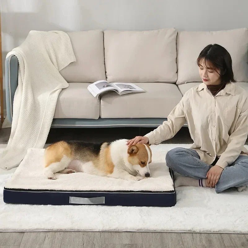 "Chien allongé sur un matelas orthopédique à mémoire de forme, apaisé et caressé par sa maîtresse – idéal pour le confort articulaire. Disponible chez Museau Dort"