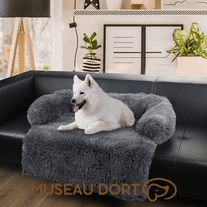 Coussin pour chien 2 en 1 gris sur canapé, protège des poils et offre un couchage confortable en intérieur, Museau Dort