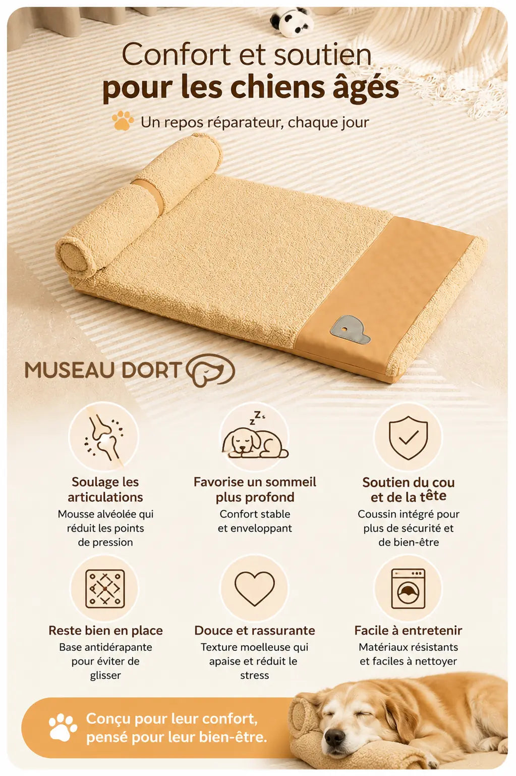 Coussin pour chien âgé avec traversin, visuel présentant ses principaux bénéfices de confort et d’entretien.