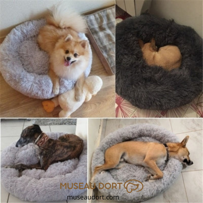 Coussin pour chien cocon utilisé par plusieurs chiens à la maison, confort et repos en intérieur, avis clients – Museau Dort