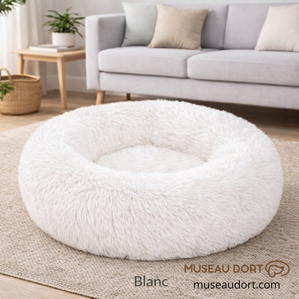 Coussin pour chien cocon blanc, ultra moelleux et rassurant, posé dans un salon moderne, idéal en intérieur – Museau Dort