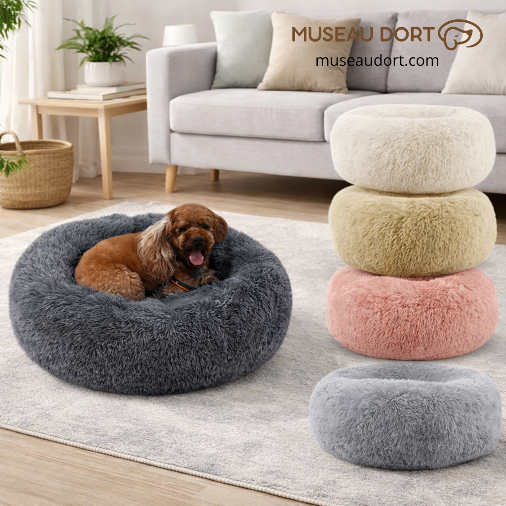 Coussin pour chien cocon avec chien en situation réelle, plusieurs couleurs disponibles, confort en intérieur – Museau Dort